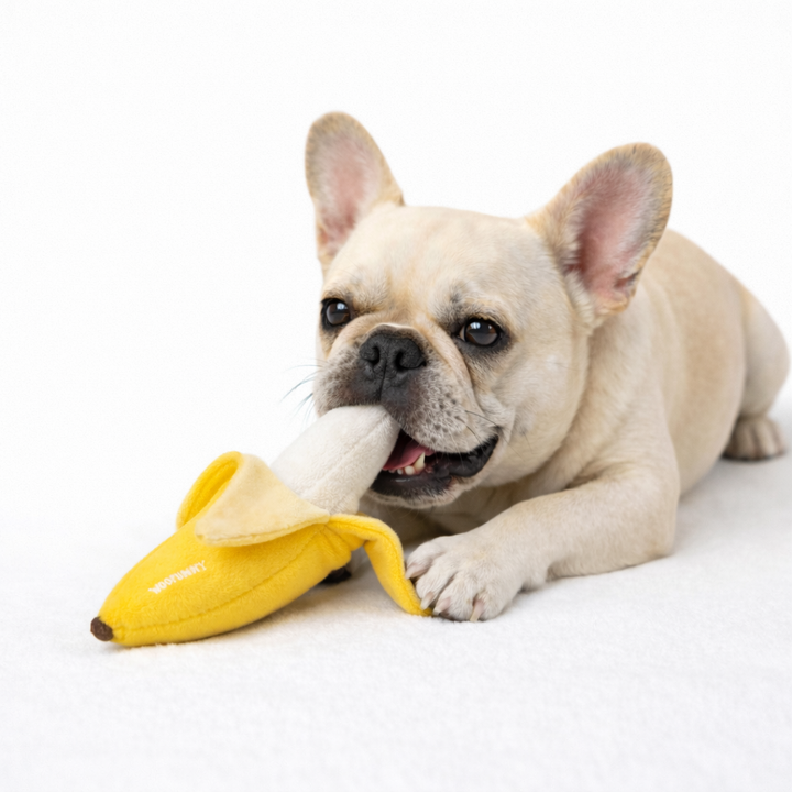 Woofunny Banana Plush Squeaky Dog Toy
