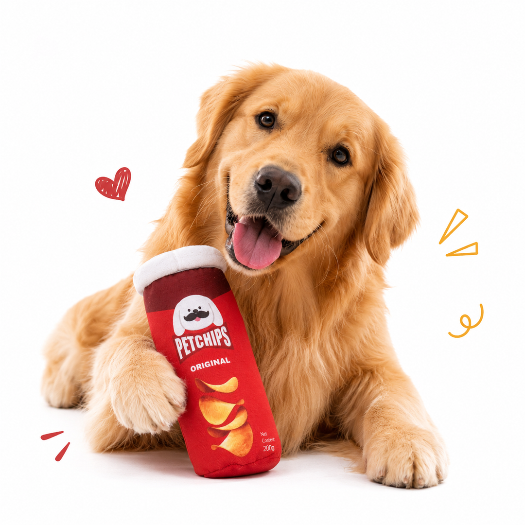 Woofunny Chip Bucket Plush Squeaky Dog Toy