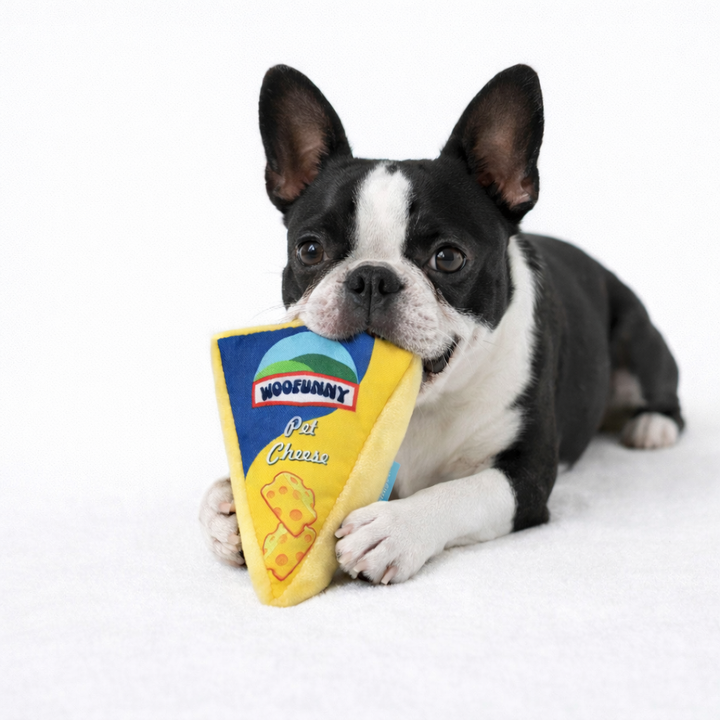 Woofunny Cheese Plush Squeaky Dog Toy